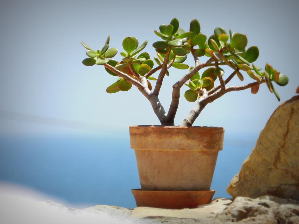 Appartamento Don Nino Lido di Noto Dış mekan fotoğraf